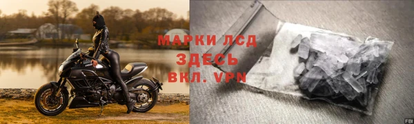 дурь Аркадак