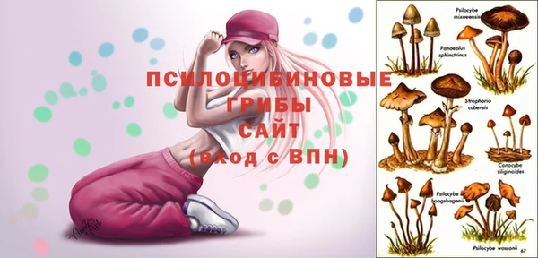 дурь Аркадак